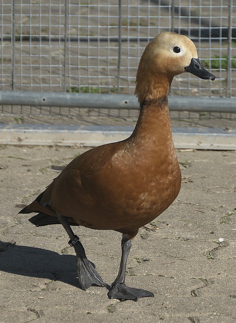 他们从不缺