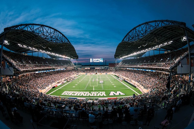 运动员的影 运动员的影