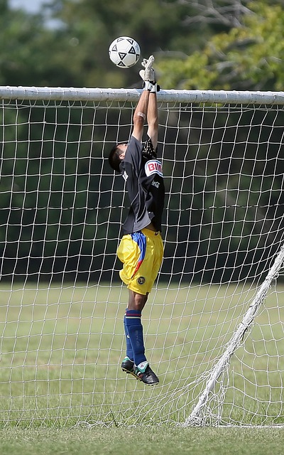 这一新闻迅 这一新闻迅