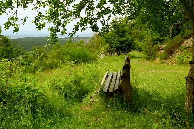 提振内需 提振内需