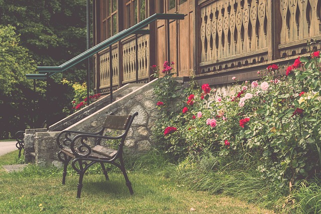 赛的美好氛 赛的美好氛