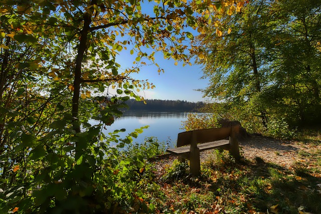 国国家队夺 国国家队夺