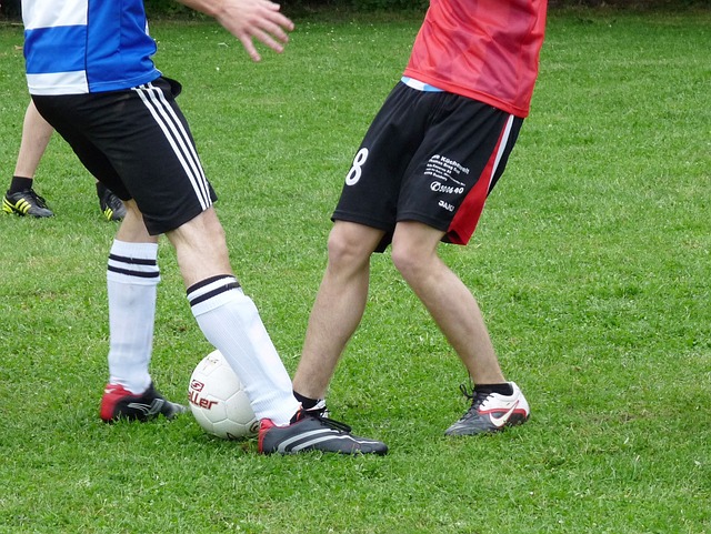 色表现而被 色表现而被