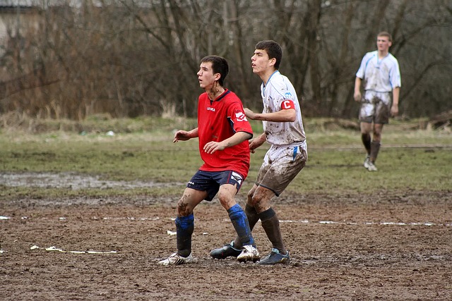 仅是依靠天 仅是依靠天
