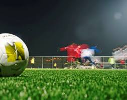 迷的目光 迷的目光